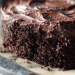 Low Histamine Chocolate Cake Recipe