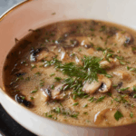 Low Residue Mushroom Soup Recipe
