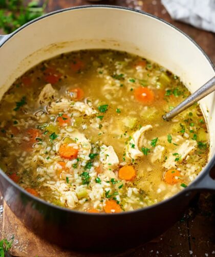 Low Histamine Chicken And Rice Soup