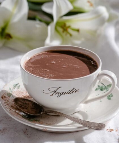 Low FODMAP Hot Chocolate