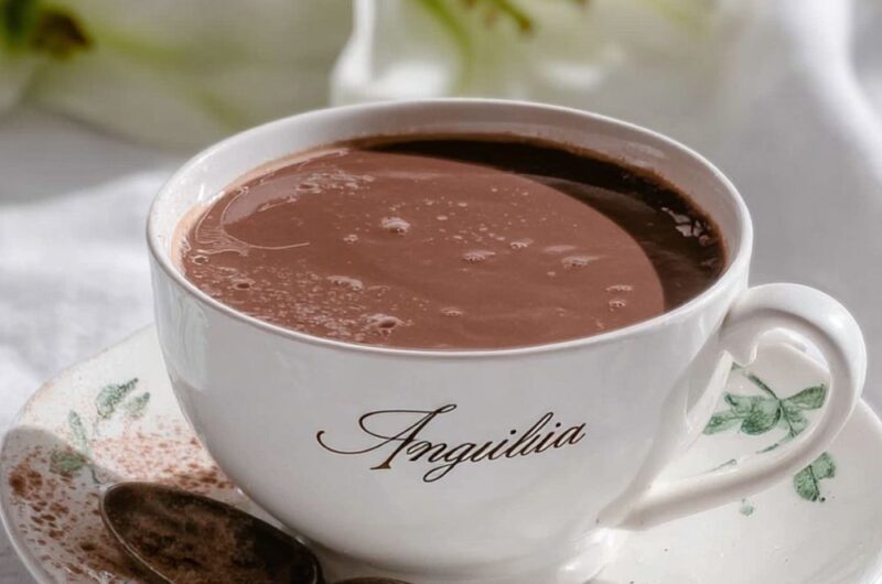 Low FODMAP Hot Chocolate