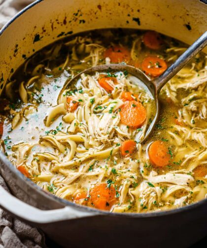 Low Acid Chicken Noodle Soup